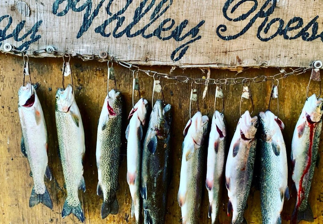 Lazy Valley Resort主图