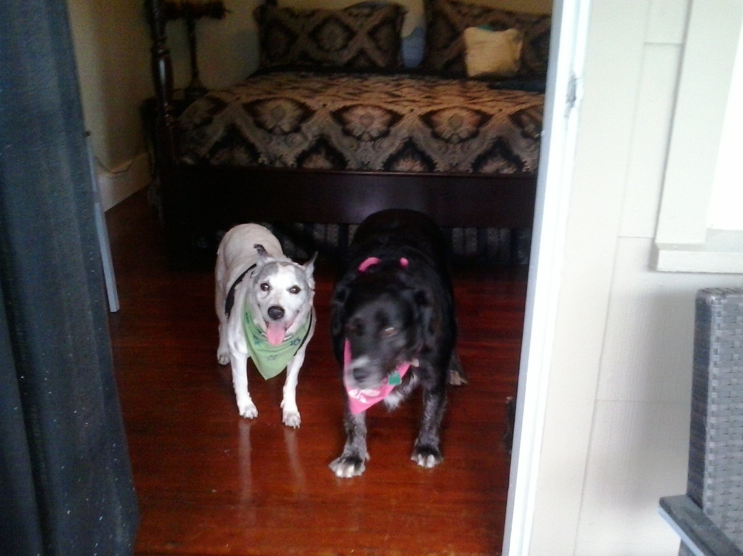 Rod and Gun Club主图