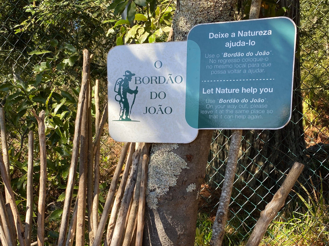 Parque Ribeira Primeira-Santo da Serra必去景点
