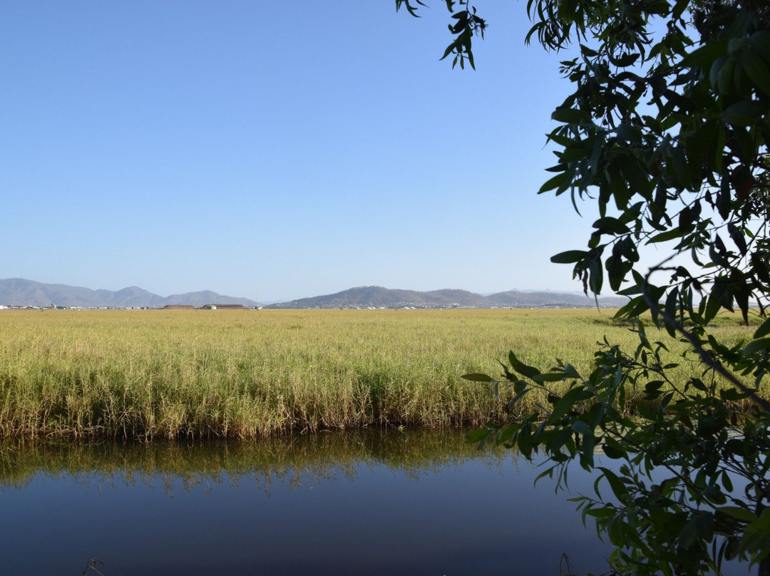 Townsville Town Common Conservation Park-汤斯维尔必去景点