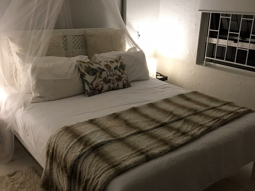 Beach Forest Lodge