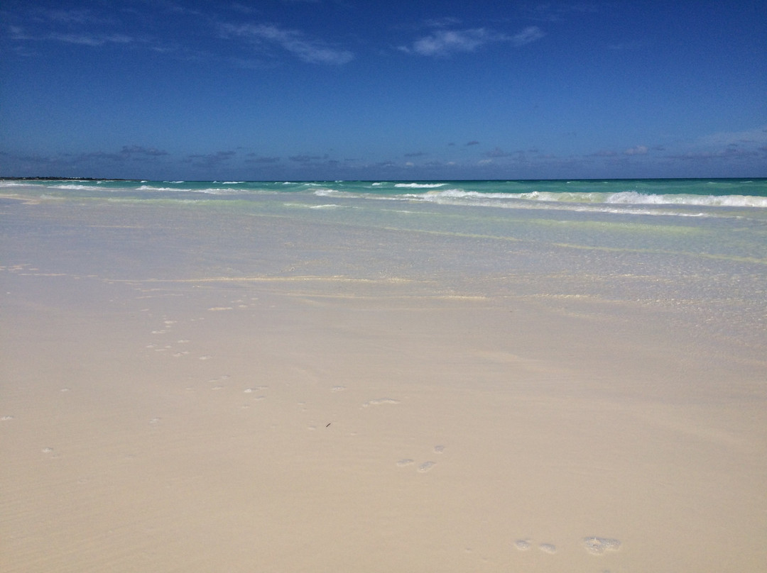 Hotel Playa Cayo Santa María主图