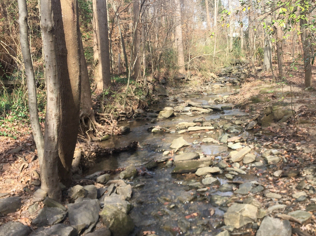 Big Trees Forest Preserve-桑迪斯普林斯必去景点