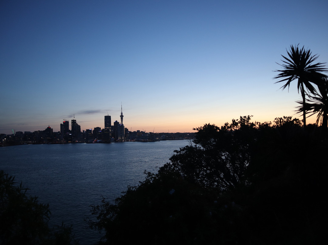 Cyril Bassett Lookout CV-德文波特必去景点