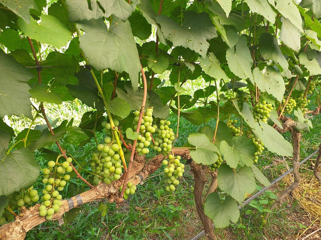 Casa de Pizzo-容迪亚伊必去景点