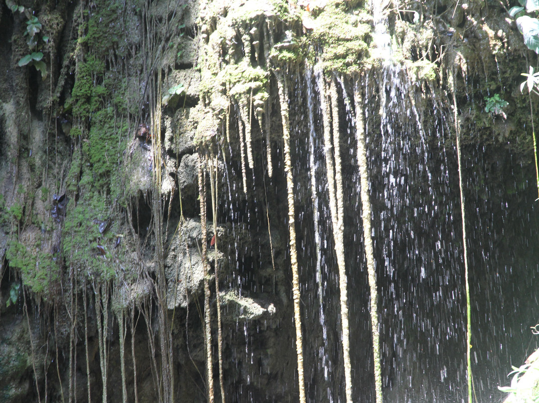 Green Canyon景点图片