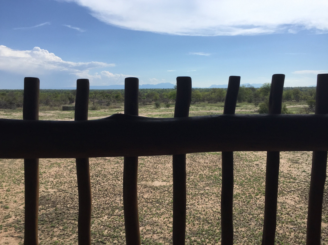 nThambo Tree Camp主图