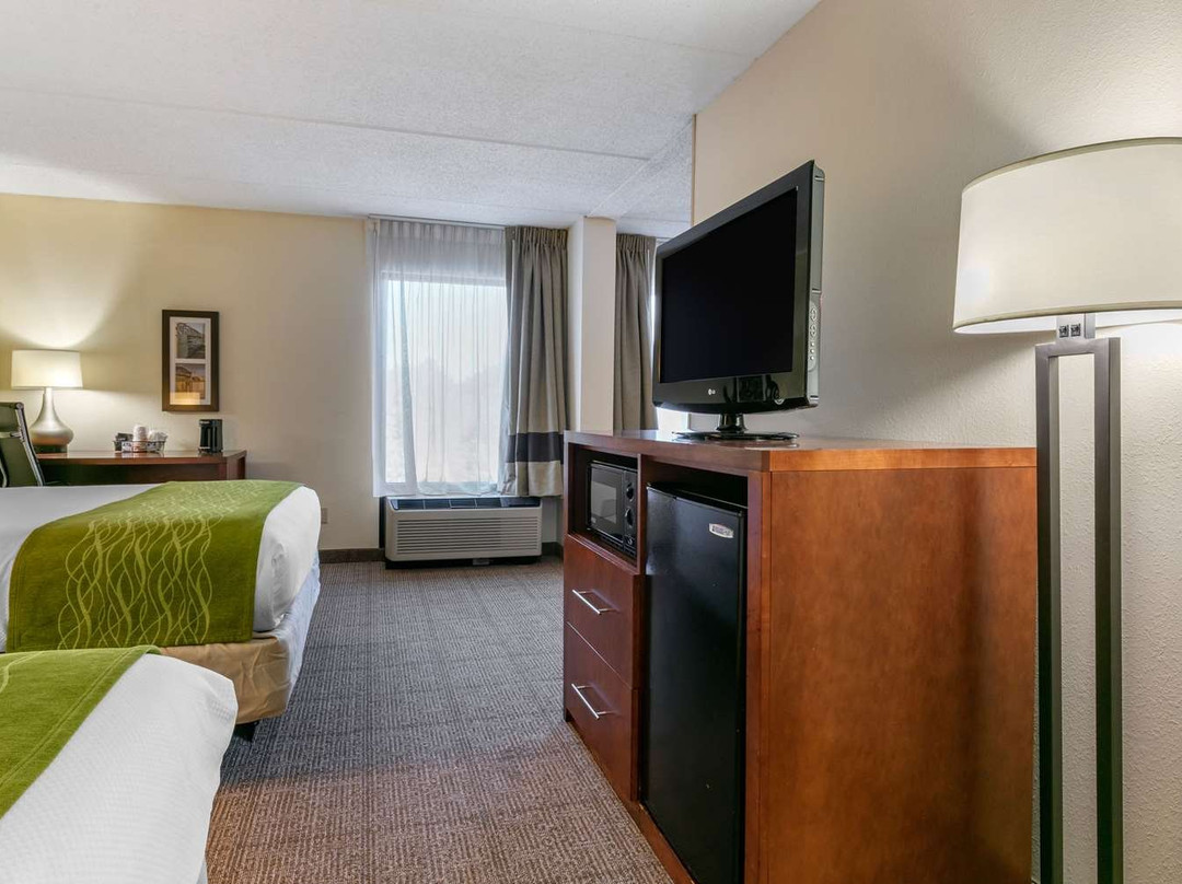 Comfort Inn Downtown主图