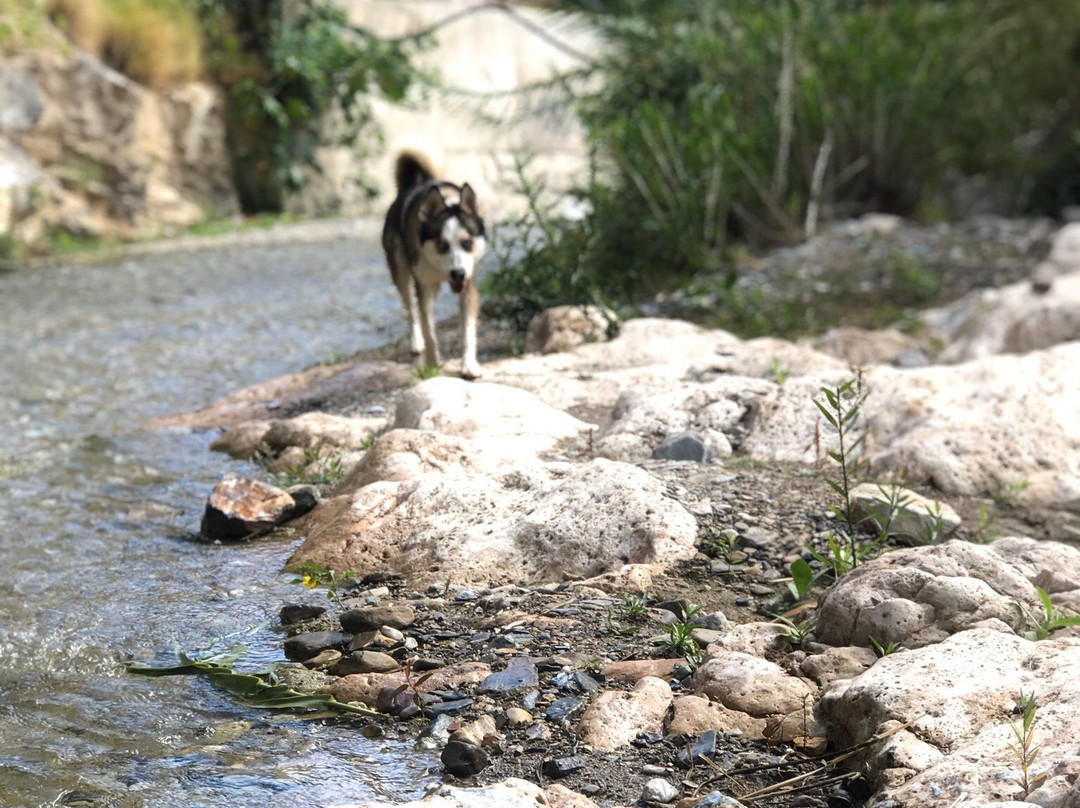 Balneario el Oasis Semidesierto景点图片