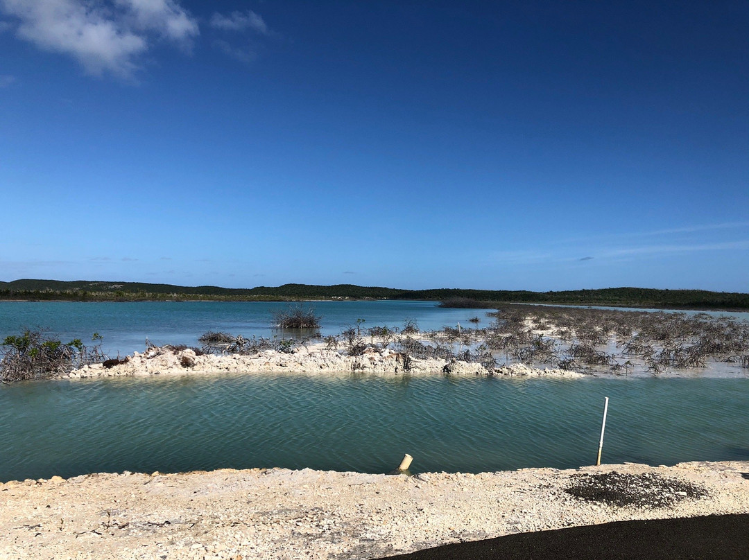 Casuarina Pine Villas主图