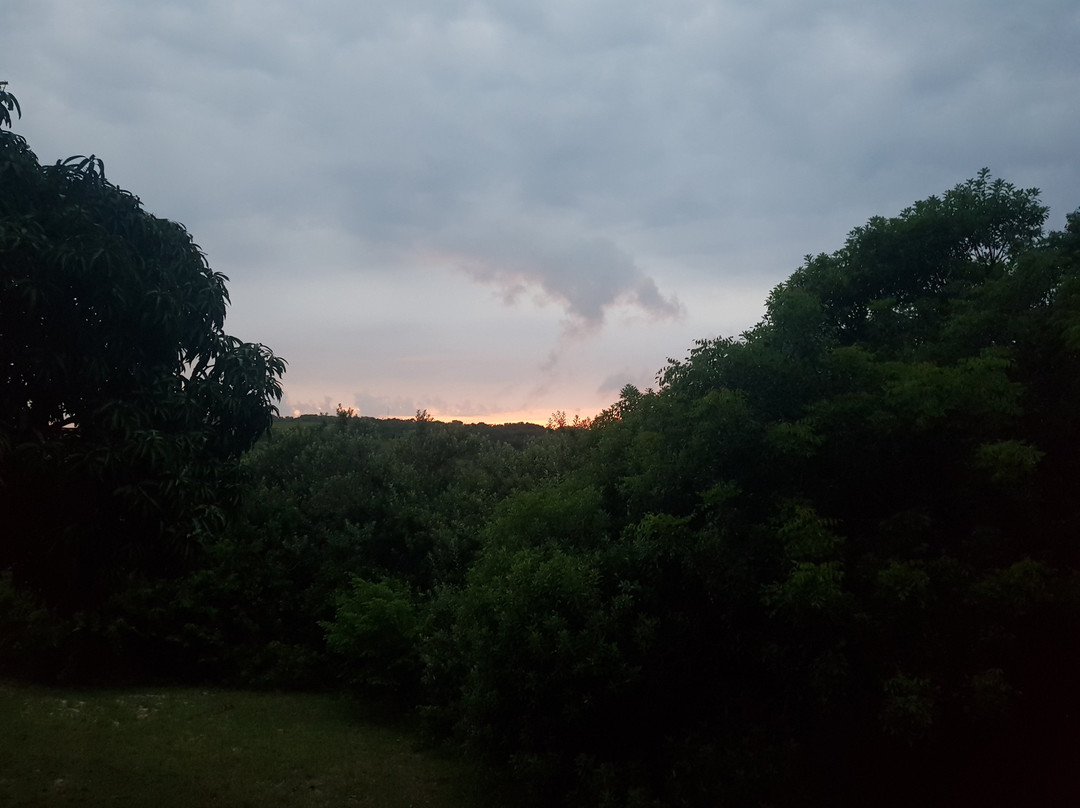 Kosi Moon Bed & Breakfast主图