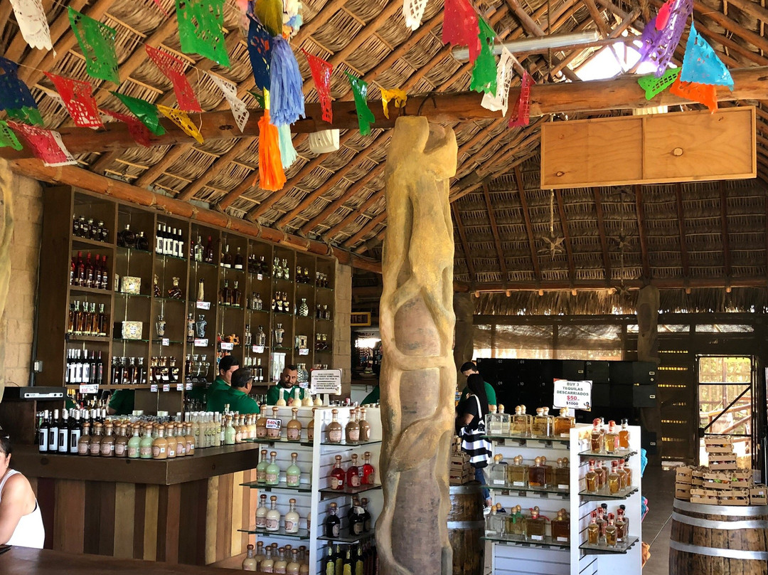 Xtreme Adventure Cabo-卡波圣卢卡斯必去景点