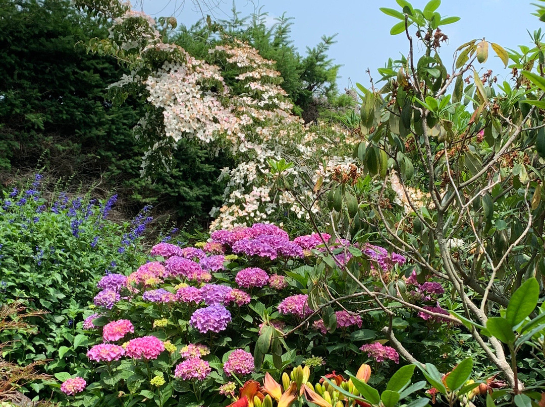 Trott's Garden景点图片