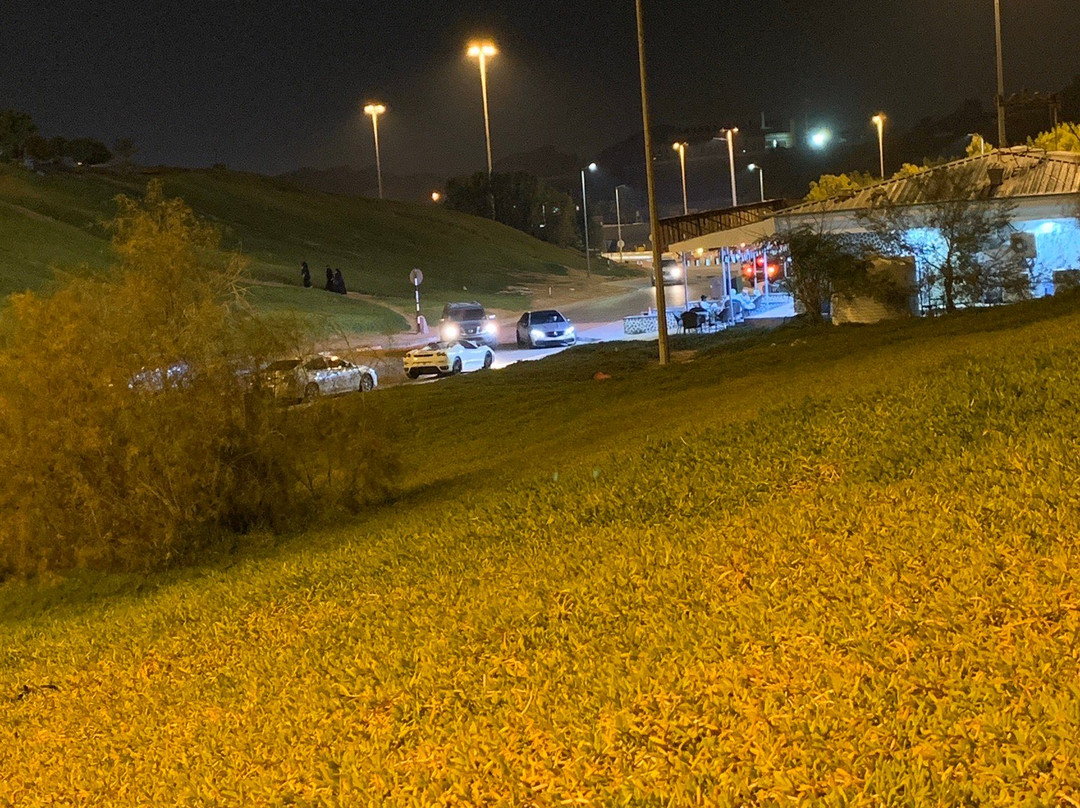 Green Mubazzarah-阿布扎比必去景点