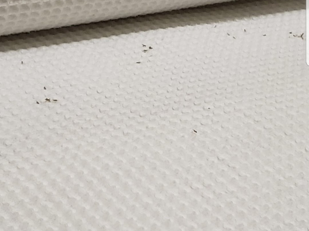 Hotel Vivaldi Cataratas主图