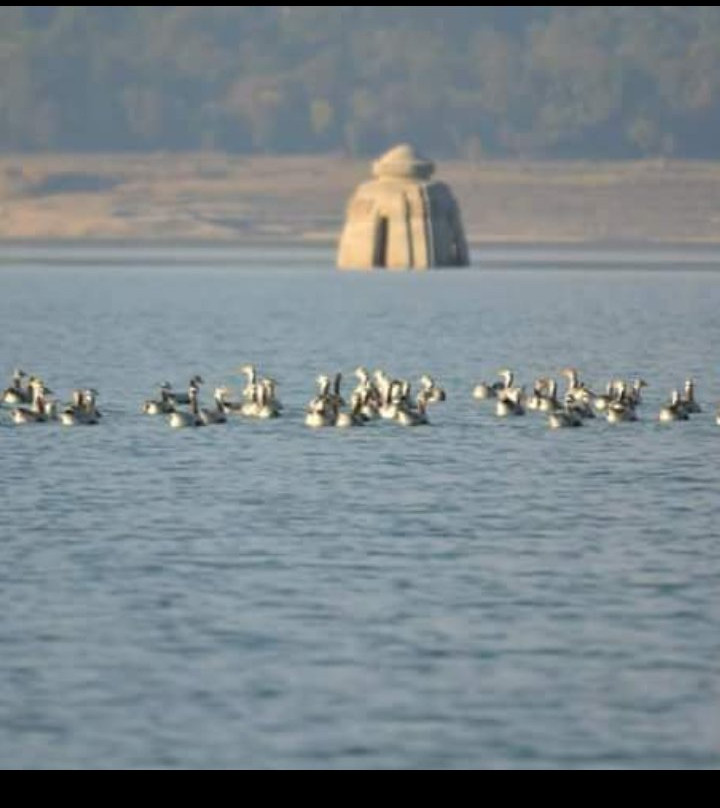 Hotel Sagar View主图