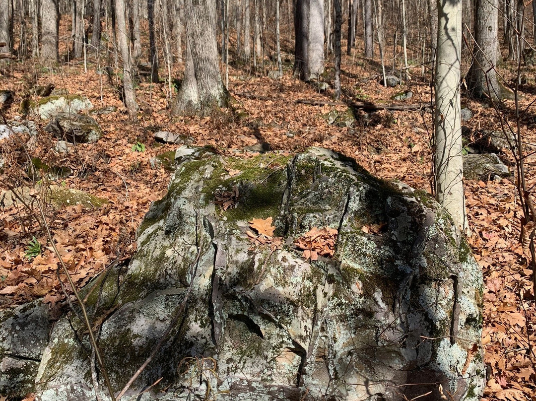 Honeycomb Rocks Trail景点图片