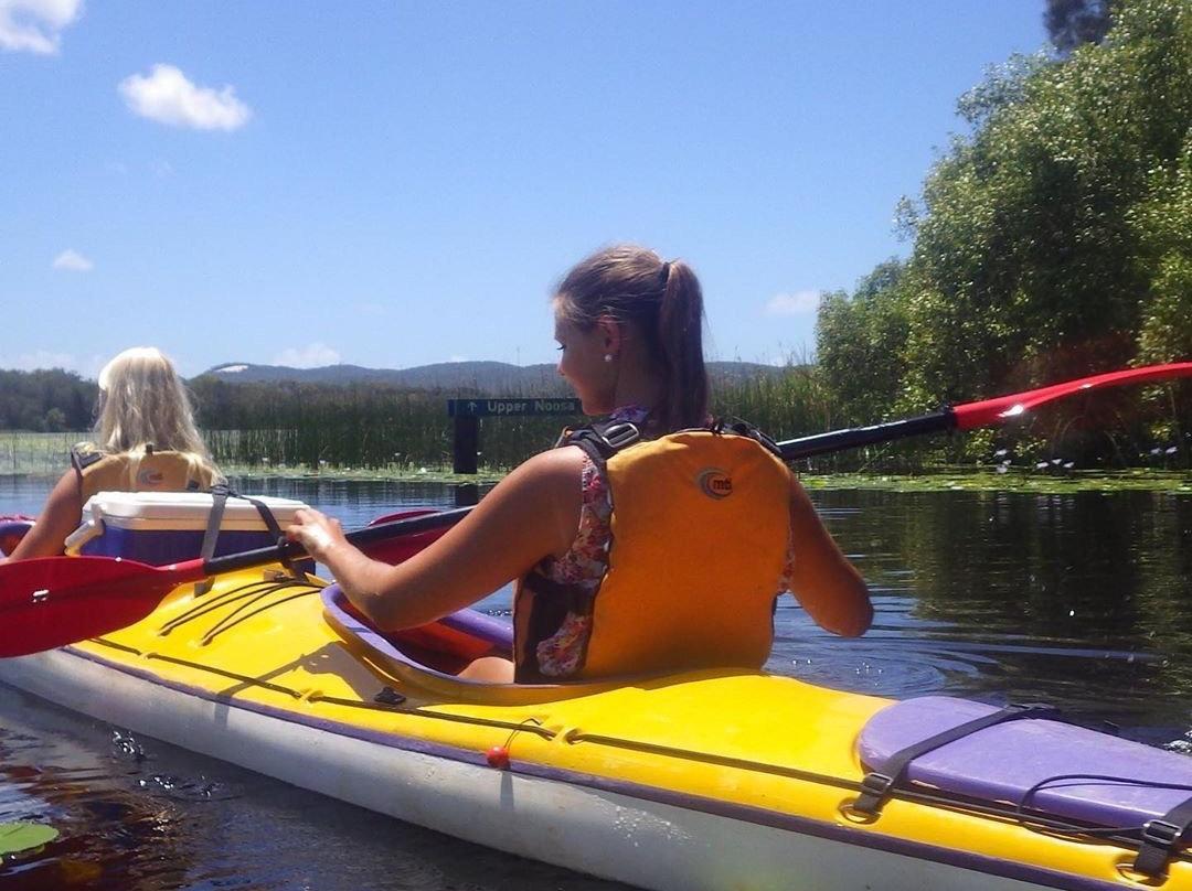 Kanu Kapers Australia Noosa Everglades Kayak Day Tours-努沙必去景点