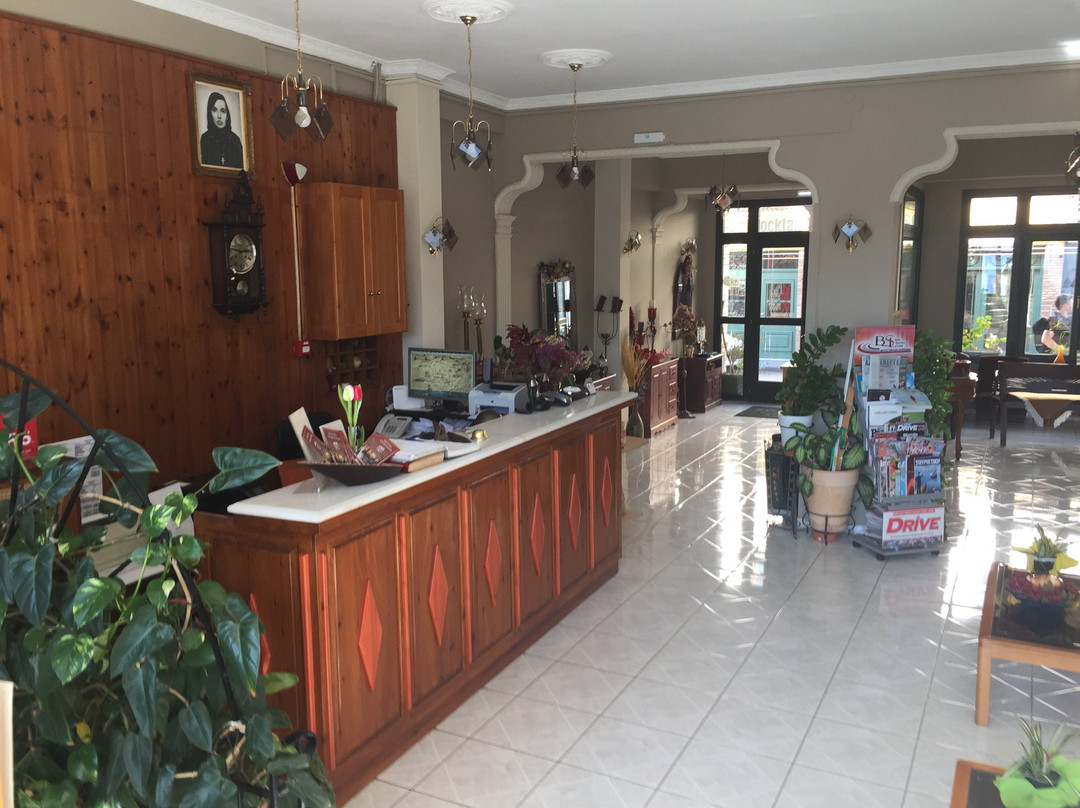 瓦洛尼斯酒店主图