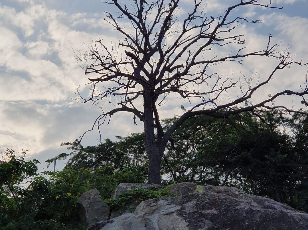 Idumban Temple-Palani必去景点