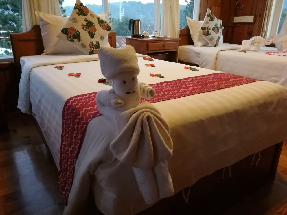 Dream Villa Hotel主图
