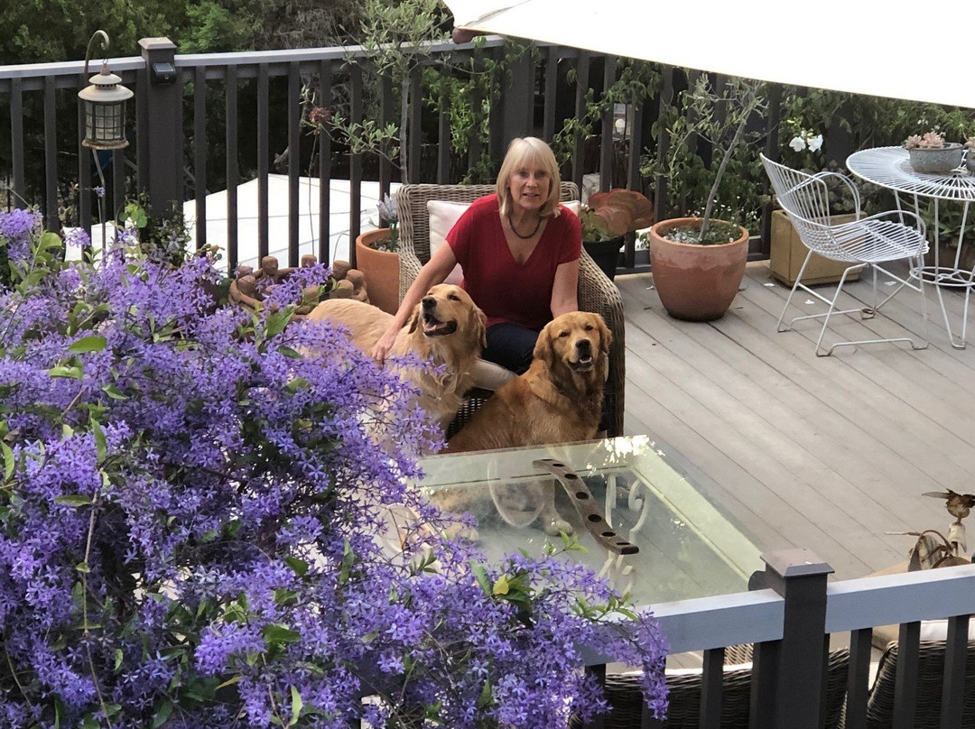 Amanzi Guest House主图