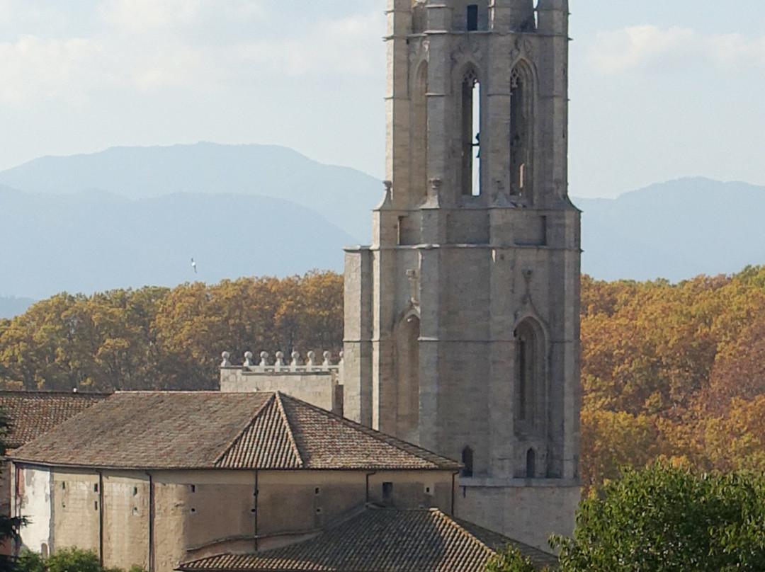 Esglesia de Sant Feliu景点图片