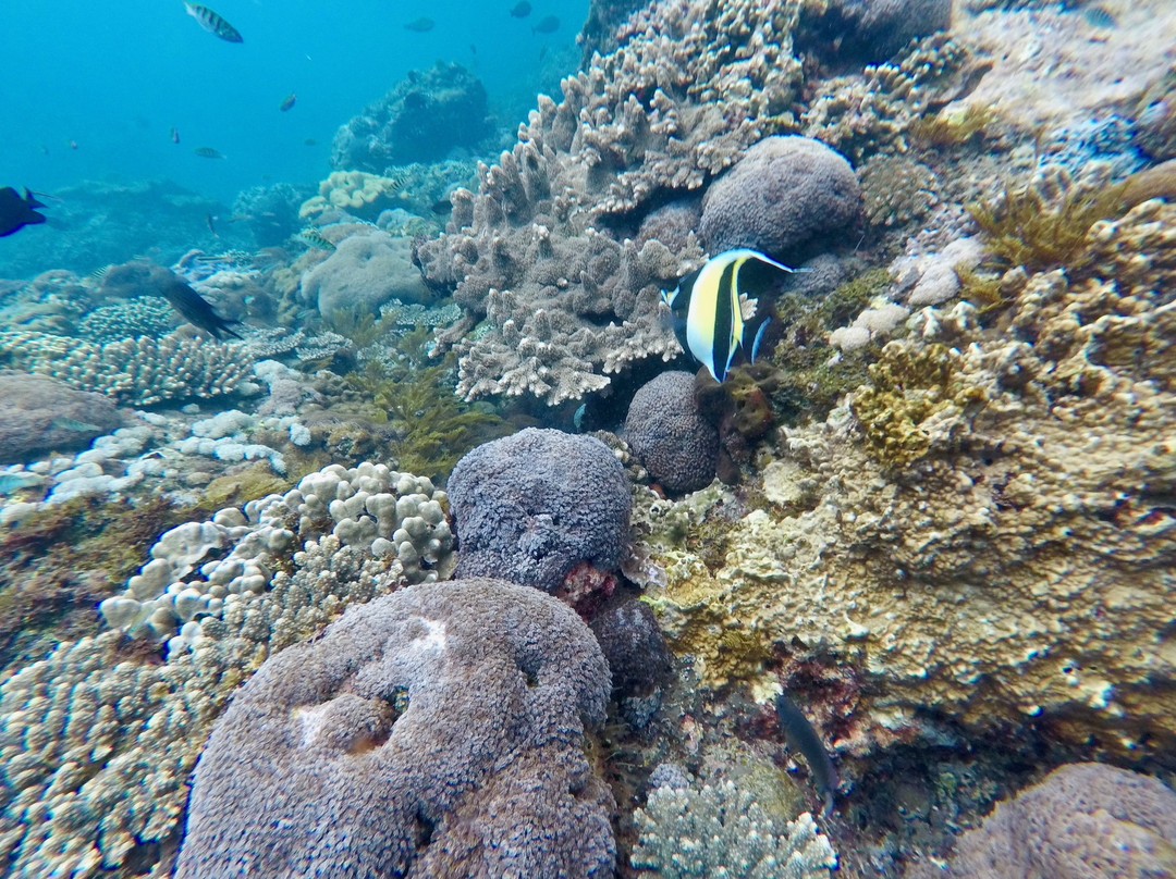 Bluelagoon Paradise Adventure-努沙切宁安岛必去景点