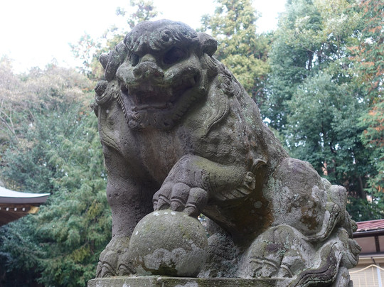 Kobari Shrine-伊奈町必去景点
