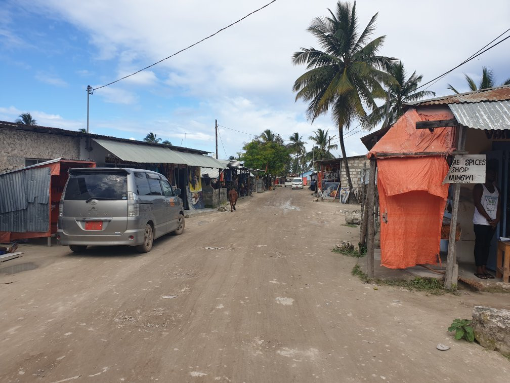 Zenjy Tours-桑给巴尔岛必去景点
