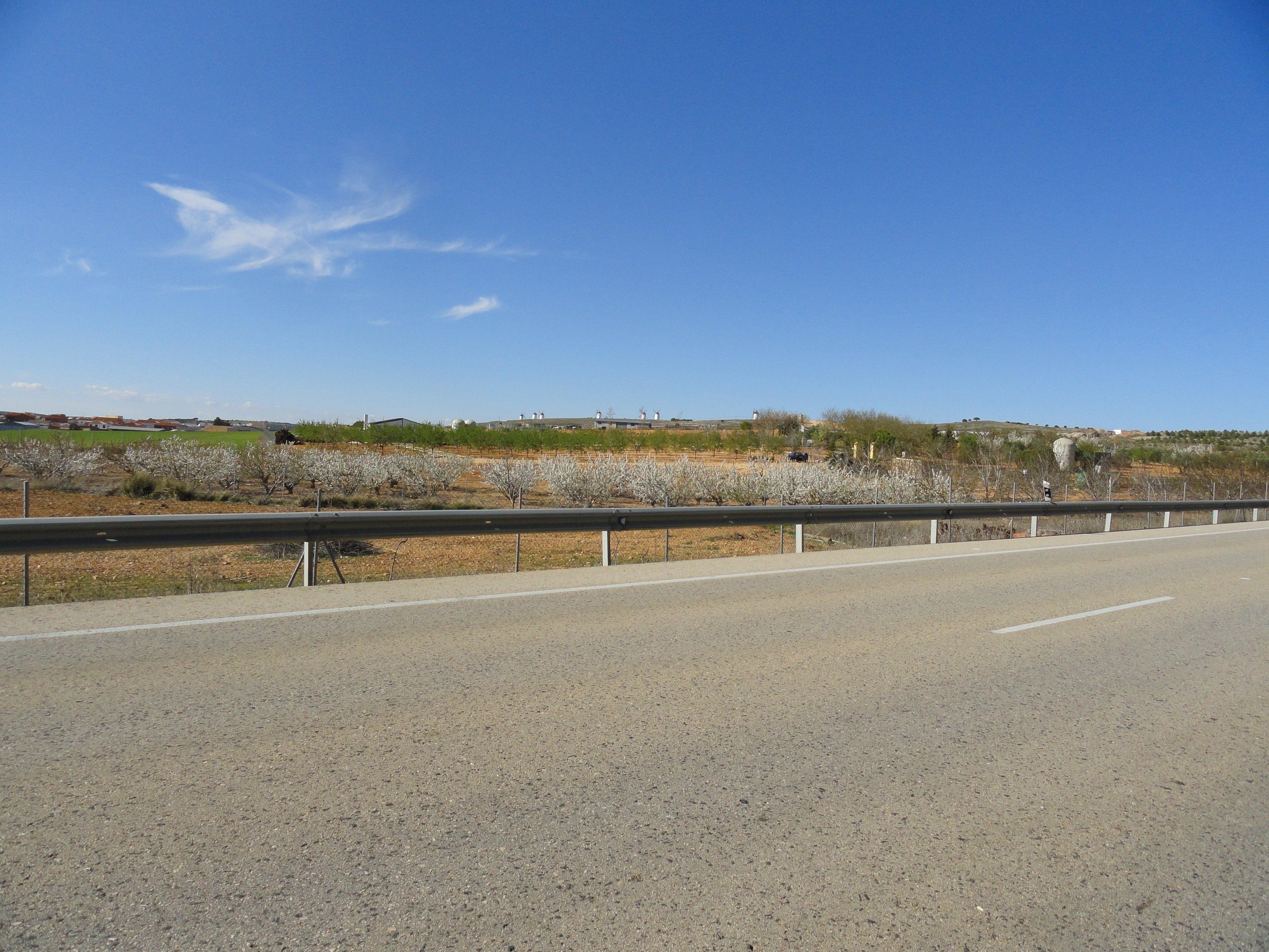 Hotel Los Arenales-官方