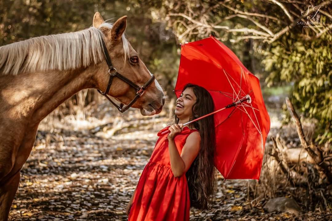 Eagles View Equestria at Klein Lanzerac-Elsenburg必去景点