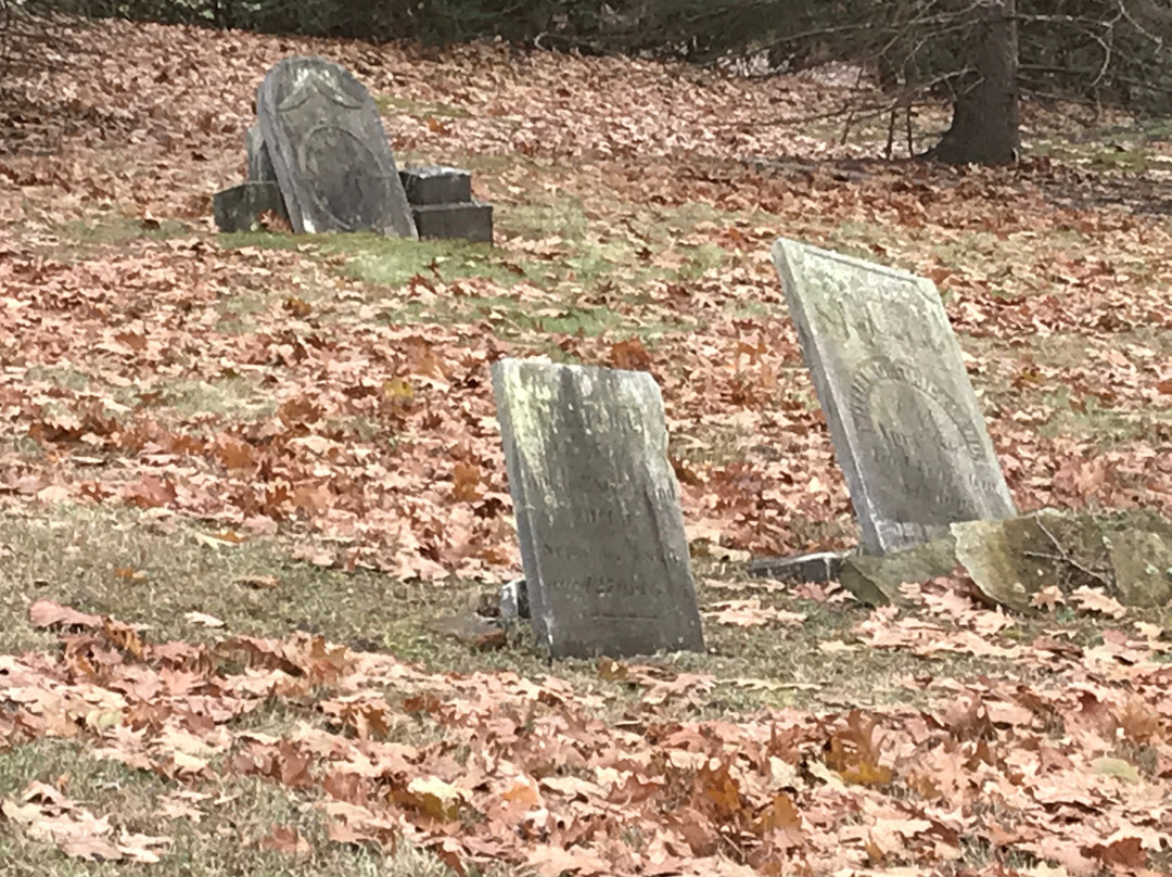 Strickland Cemetery景点图片