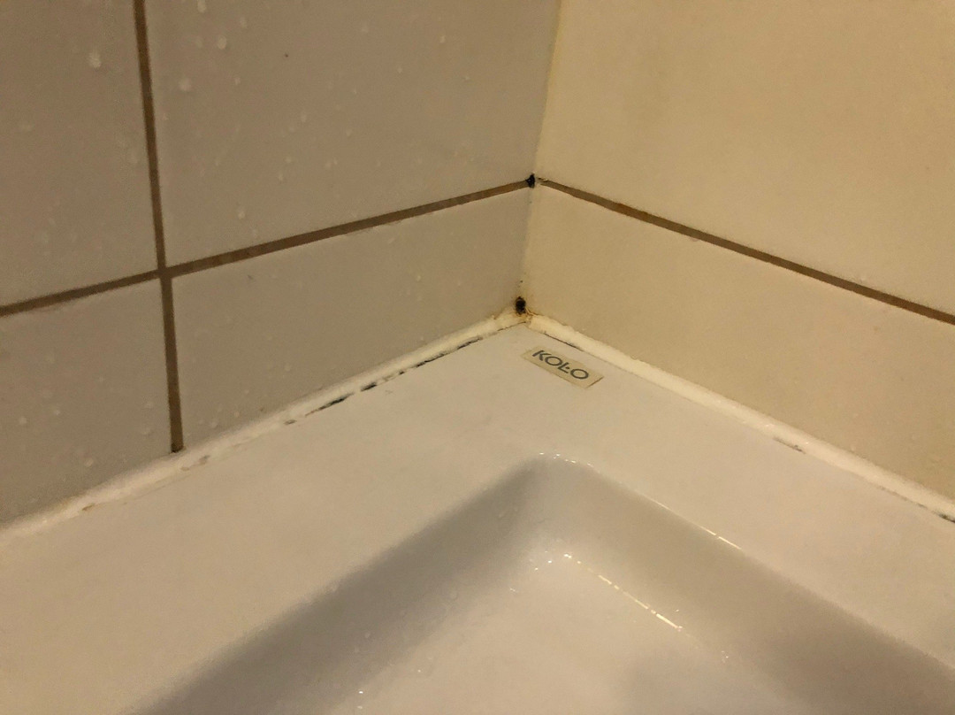 Hotel Trzebnica主图