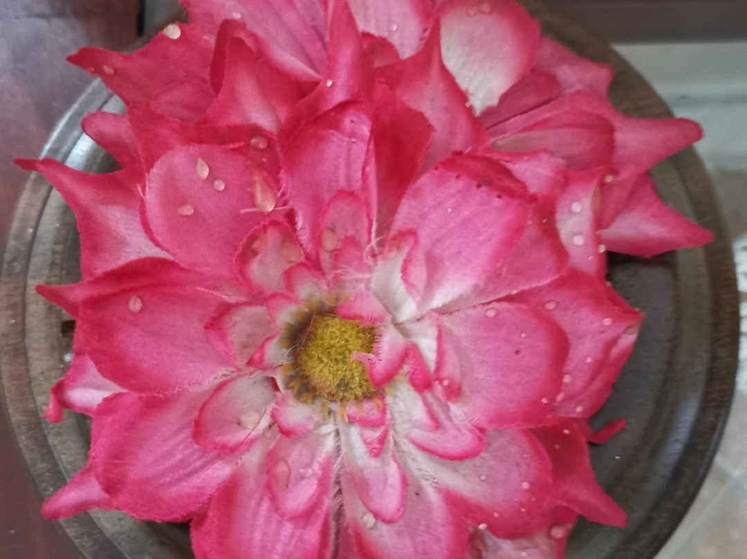 原住民公寓酒店主图