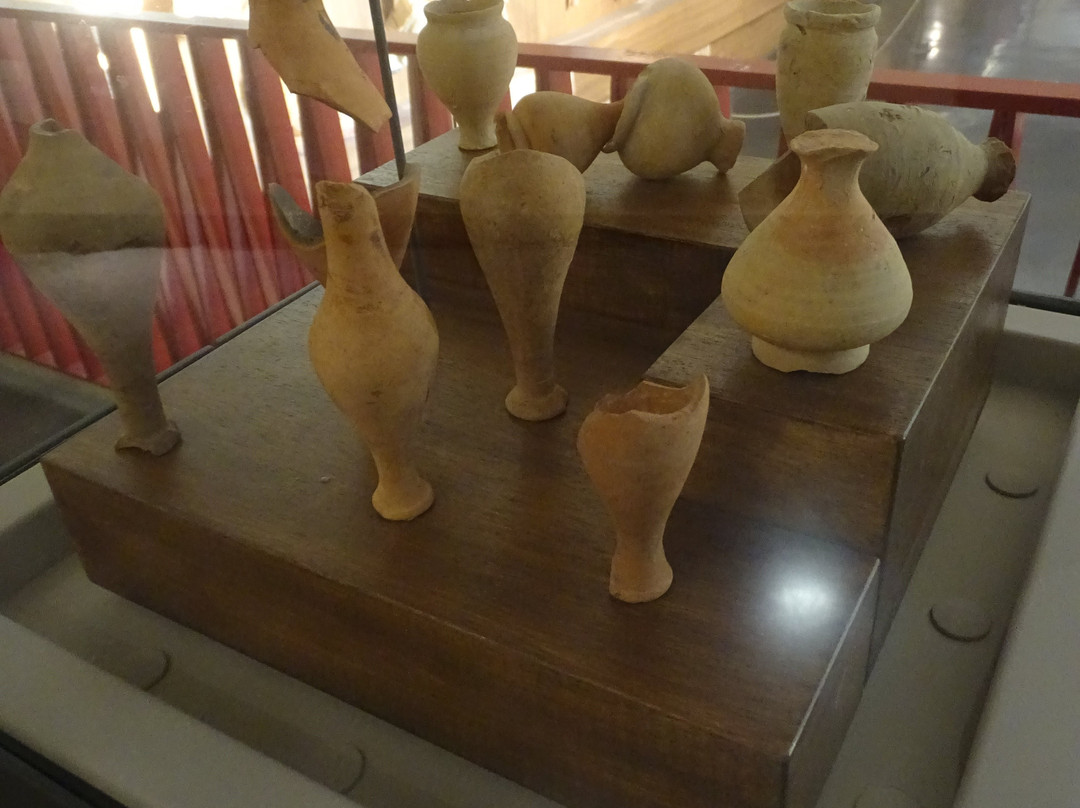 Museo Archeologico La Civitella景点图片