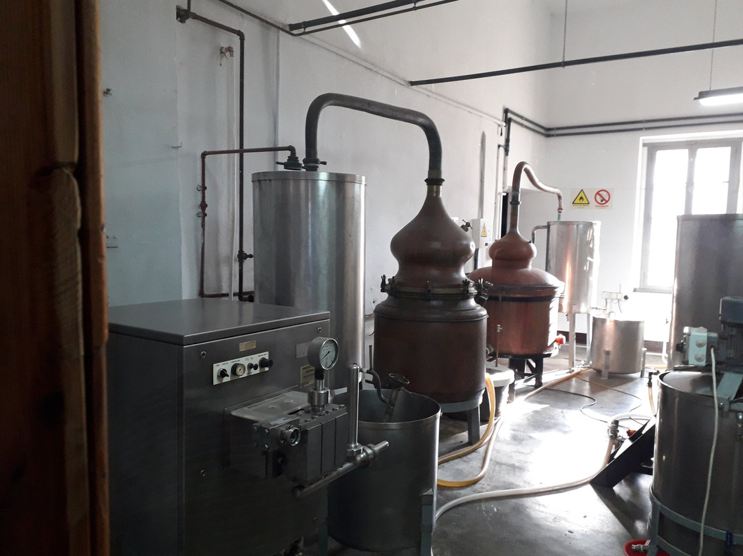 Carmelitano Bodegas y Destilerías景点图片