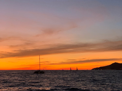 Activities Los Cabos-卡波圣卢卡斯必去景点