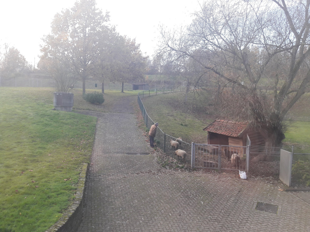 Hotel Landgoed Overste Hof主图