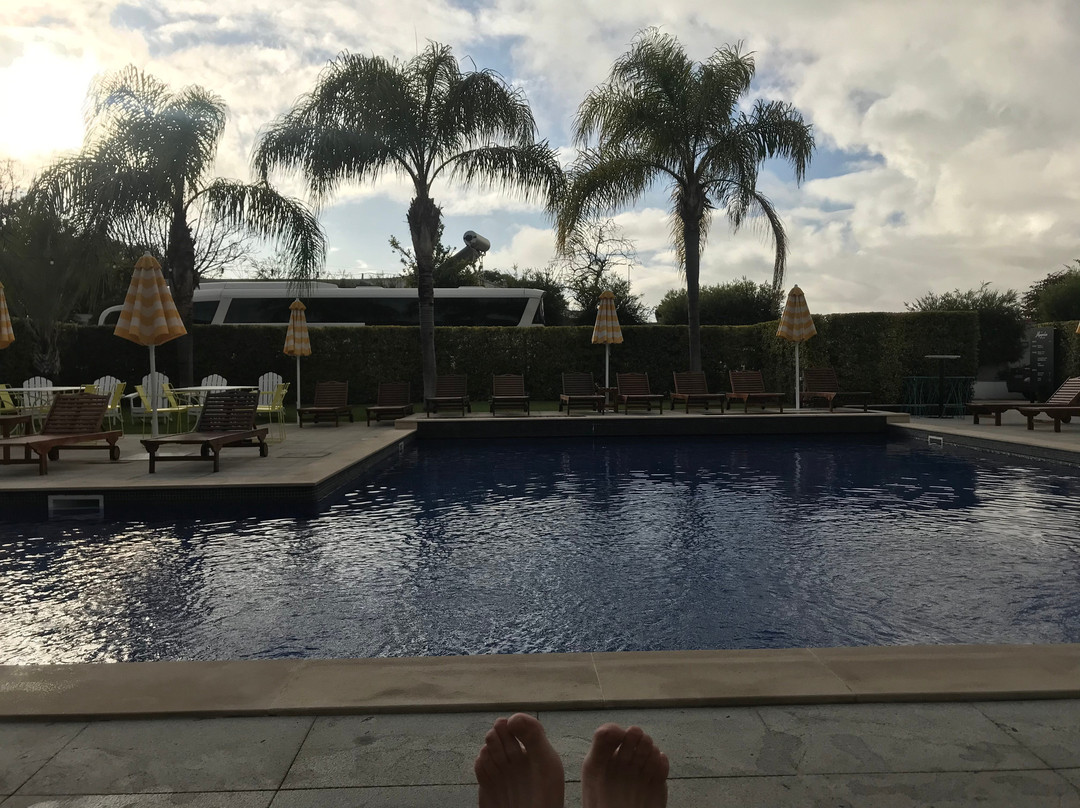 The Magnolia Hotel主图