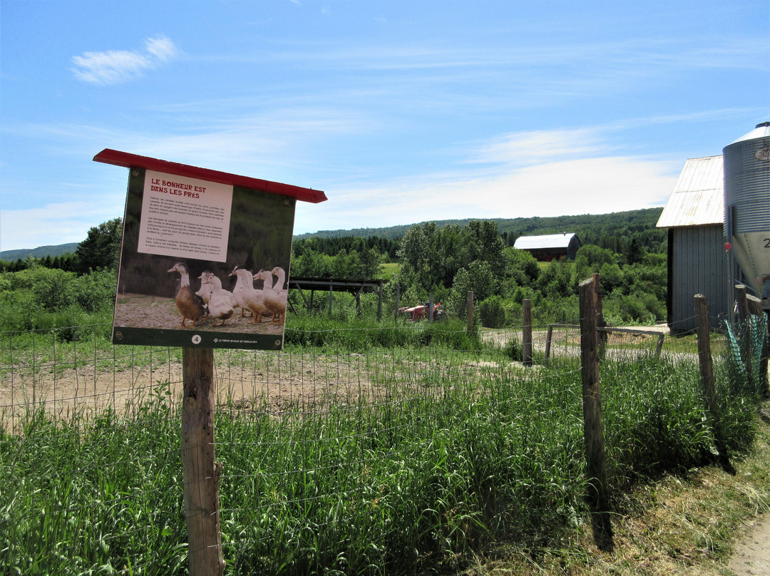 Route des Montagnes-拉马尔拜必去景点