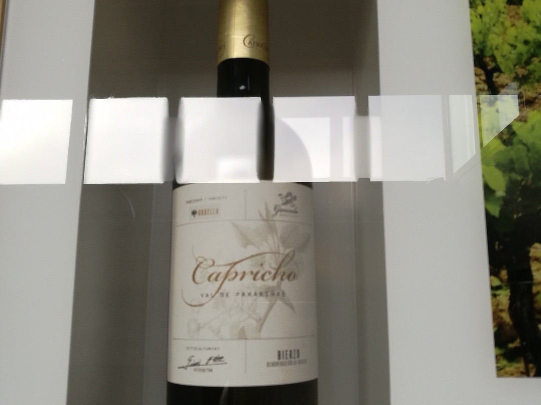 CIVI Camponaraya-Camponaraya必去景点