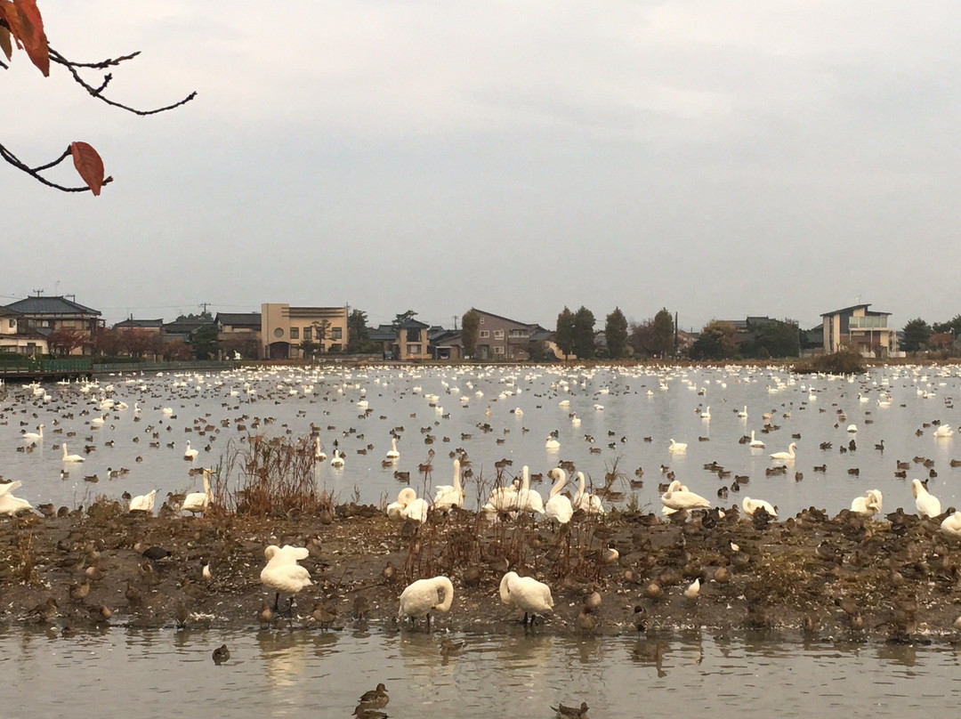 Rhythm House Hyoko主图