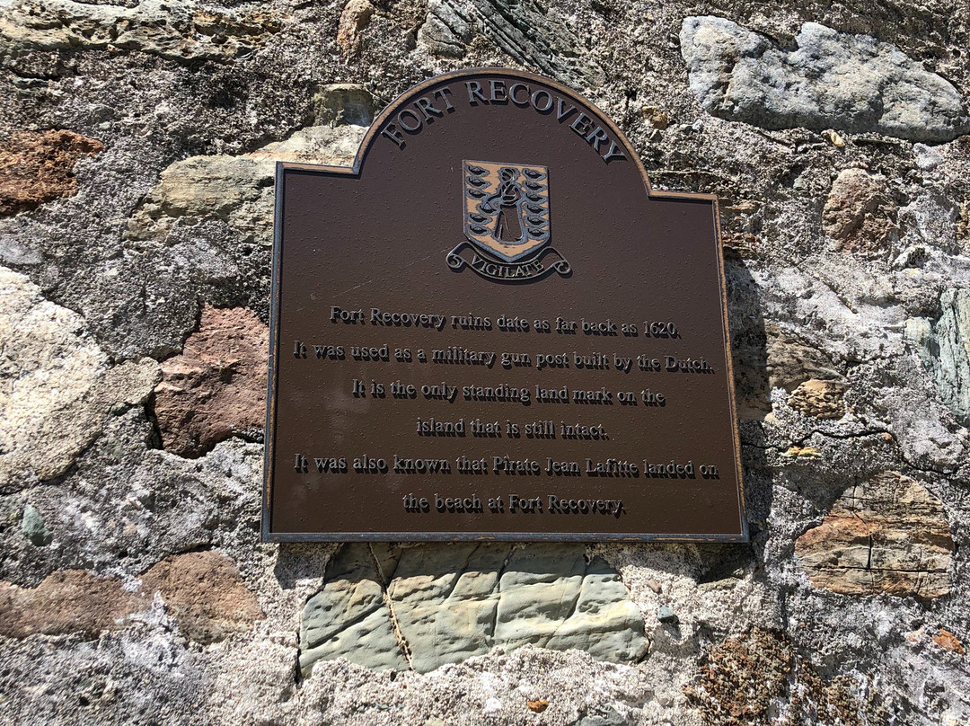 Fort Recovery Beachfront Villa & Suites主图