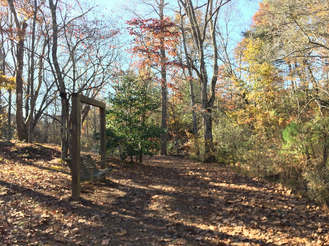 Cupid Fall Park-Young Harris必去景点