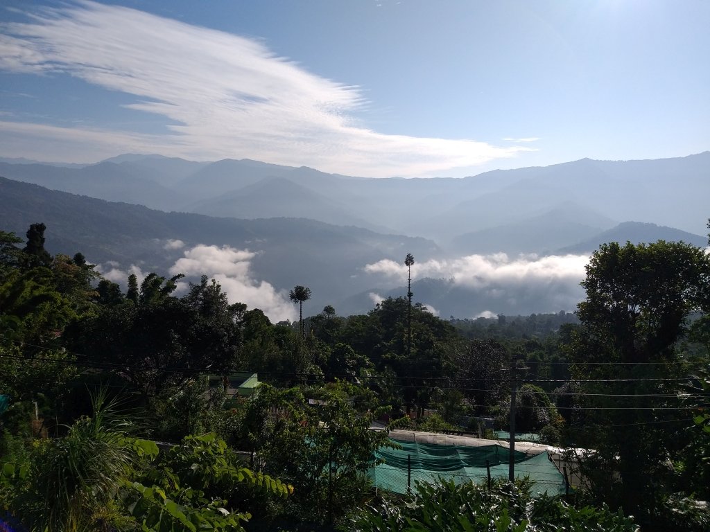The Atrium Park - Homestay-酒店景观