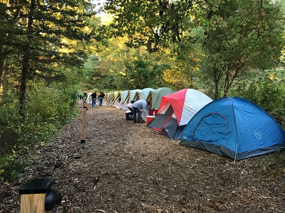 Wolf Conservation Center-South Salem必去景点