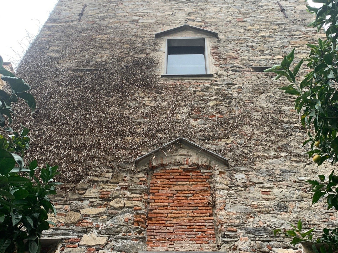Torre Ravenna景点图片