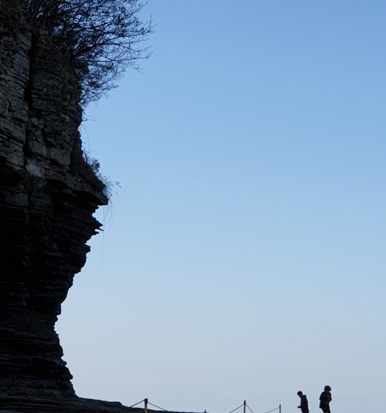 Gyeokpohang Fish Market-扶安郡必去景点
