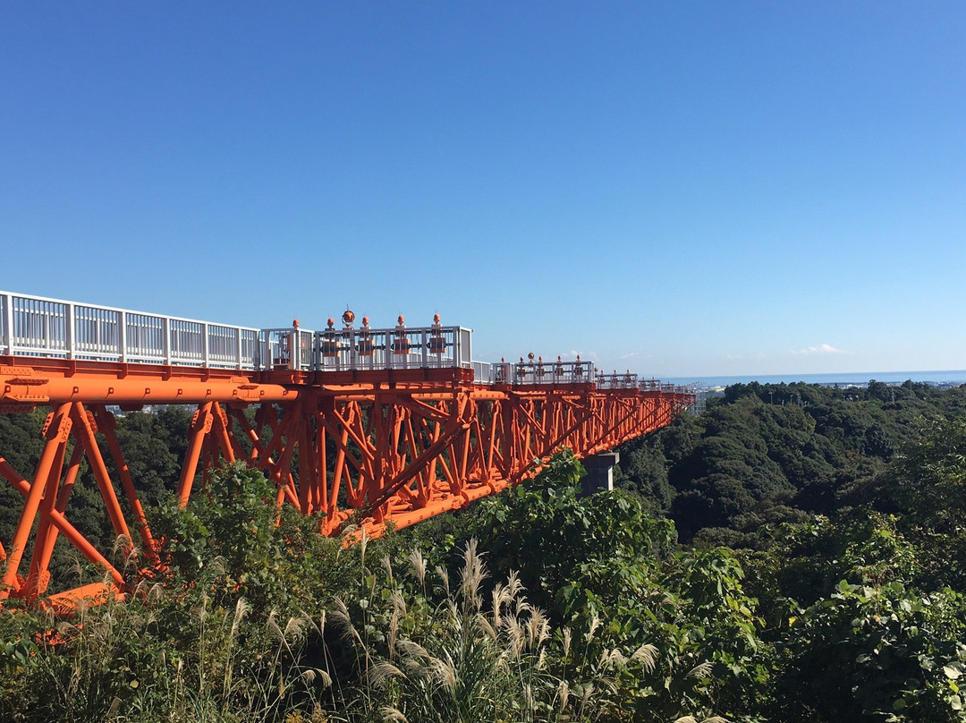 Daidarabotchi Plaza-牧之原市必去景点